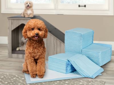 Puppy Training Pad - Set of 100 - S