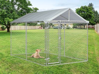 Bingo Dog Kennel and Run 4x2.3x1.83m with Roof