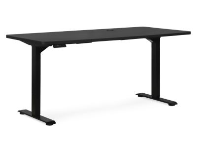 Bennie 160cm Dual Motor Electric Standing Desk - Black