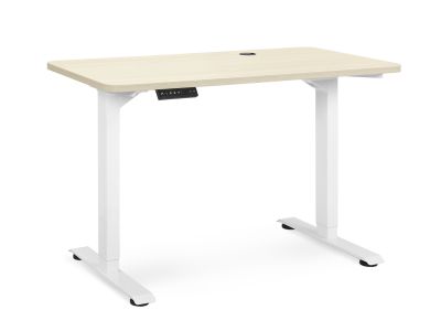 Bennie 120cm Dual Motor Electric Standing Desk - Beige