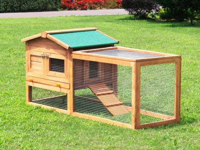 Bingo Chicken Coop with Run
