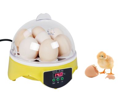 Automatic Egg Incubator 7 Eggs Hatching Machine