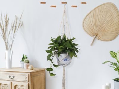 Mecrame Rope Plant Hanger Indoor Pot Plant Hanger