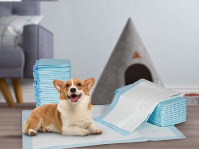 Puppy Training Pad - Set of 50 - M