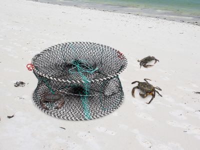 Heavy Duty Crab Net Crab Pot Crab Cage Crab Trap + Float + Rope