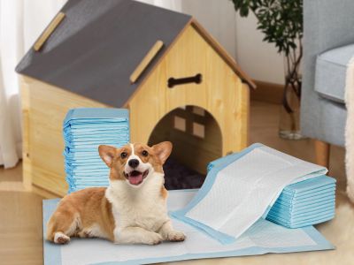 Pet Dog Puppy Training Pad - Set of 40 - L