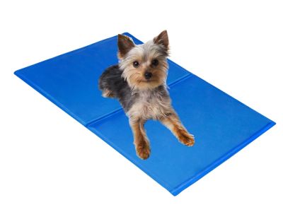 Pet Dog Waterproof Cooling Mat - M