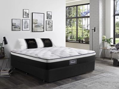 Vinson Fabric Queen Bed with Premier Back Support Mattress - Black