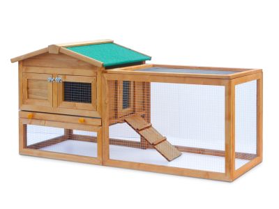 Bingo Chicken Coop with Run
