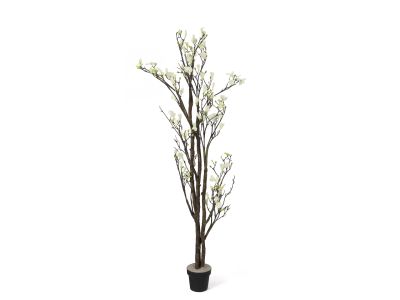 Premium Touch Real Artificial Magnolia Tree White 200cm