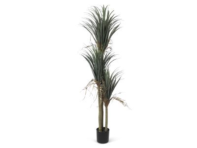 Premium Real Touch Artificial Dracaena Plant with Pot 200cm
