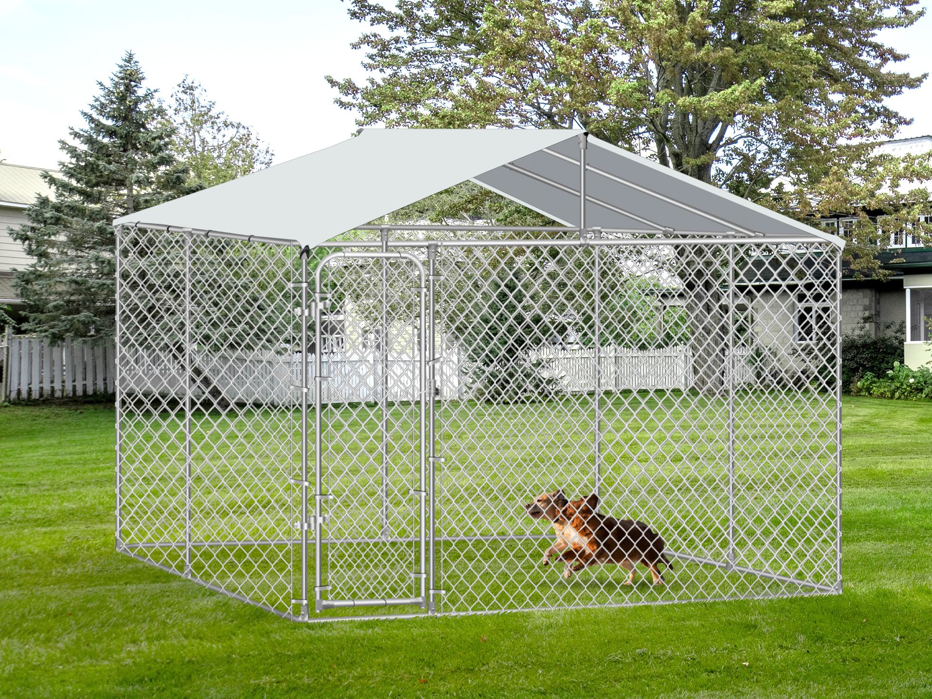 Dog run afterpay top