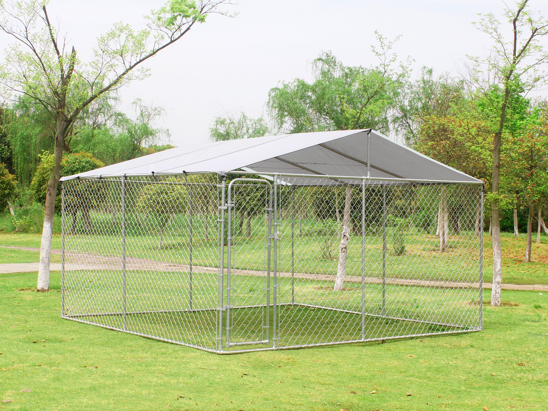 Bingo outdoor 2025 dog runs