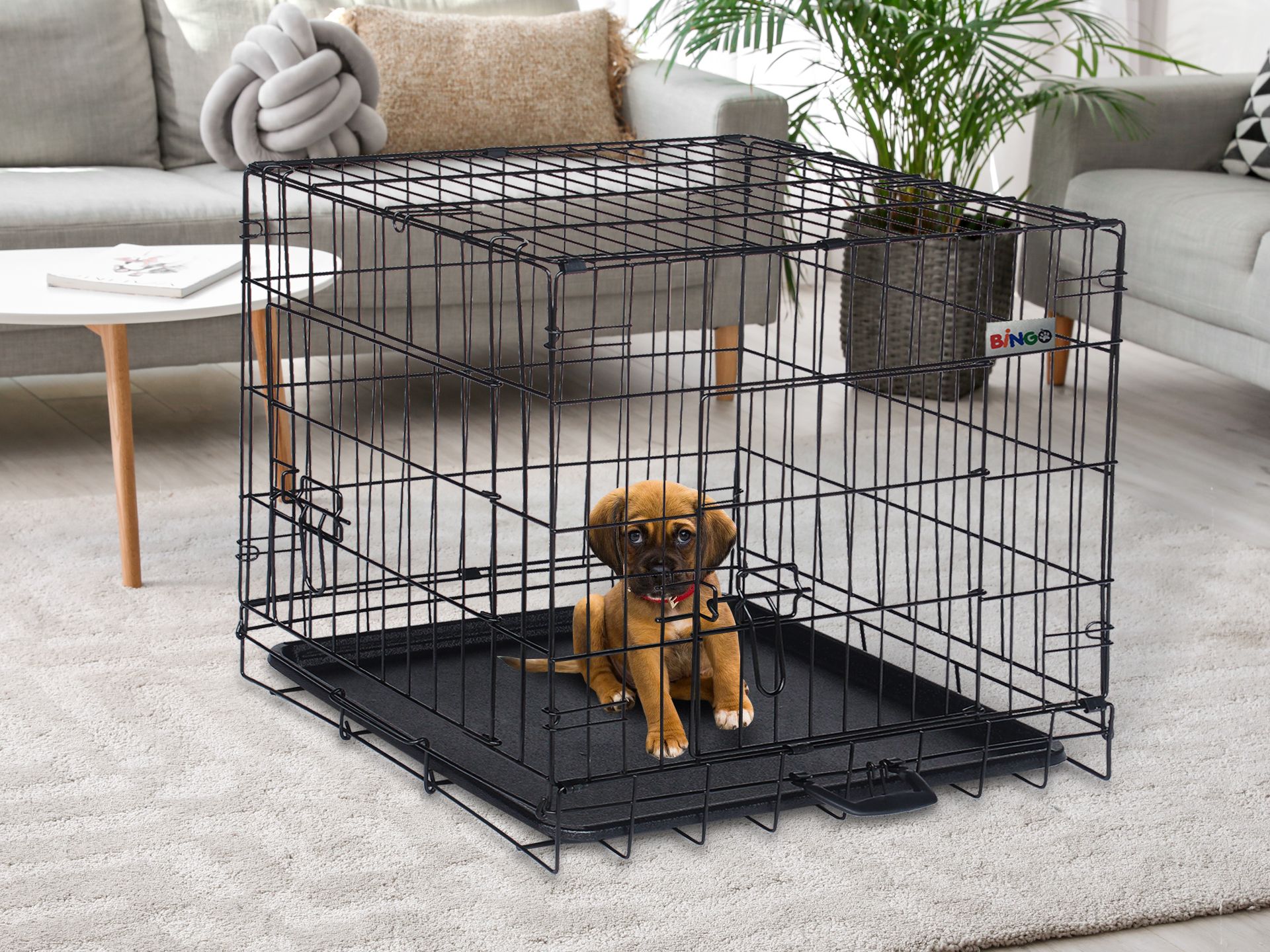 Bingo Dog Cage 24