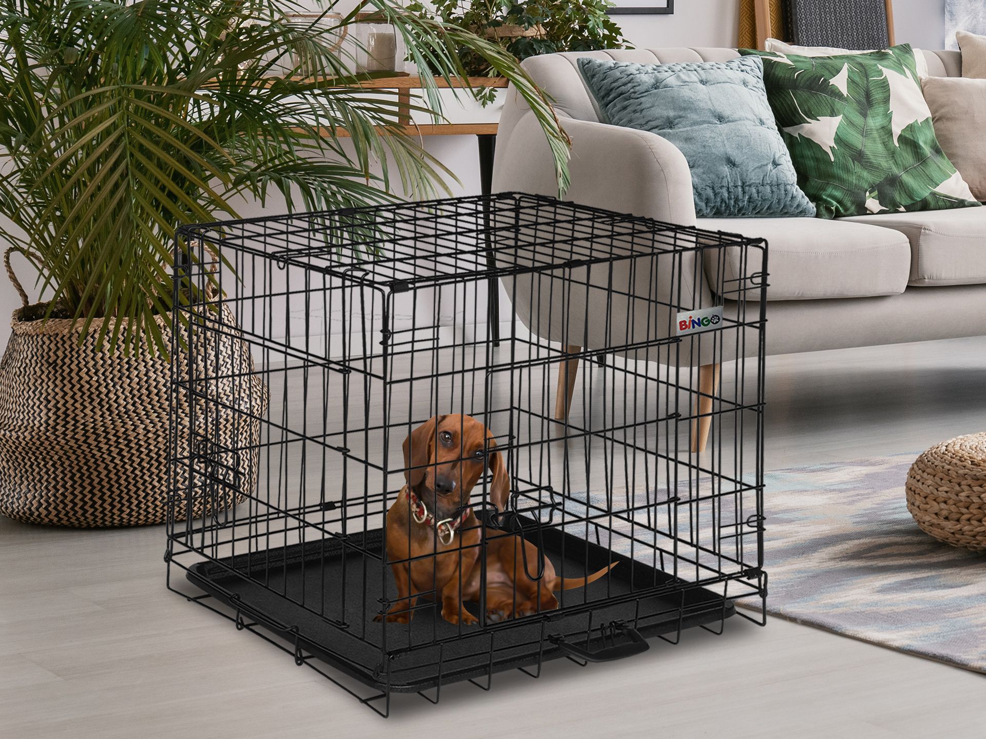 BINGO Dog Cage 30