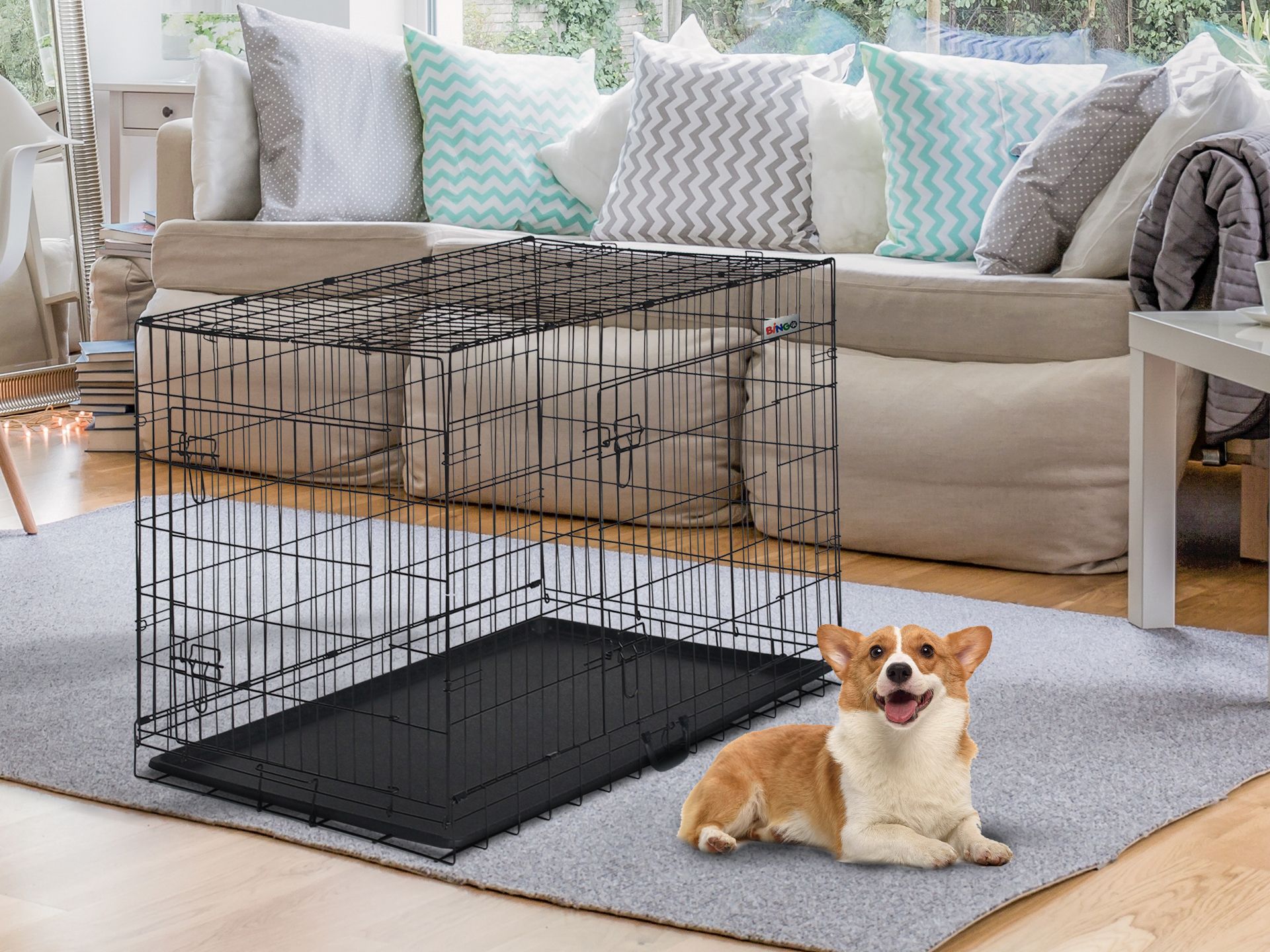 Bingo Dog Cage 36
