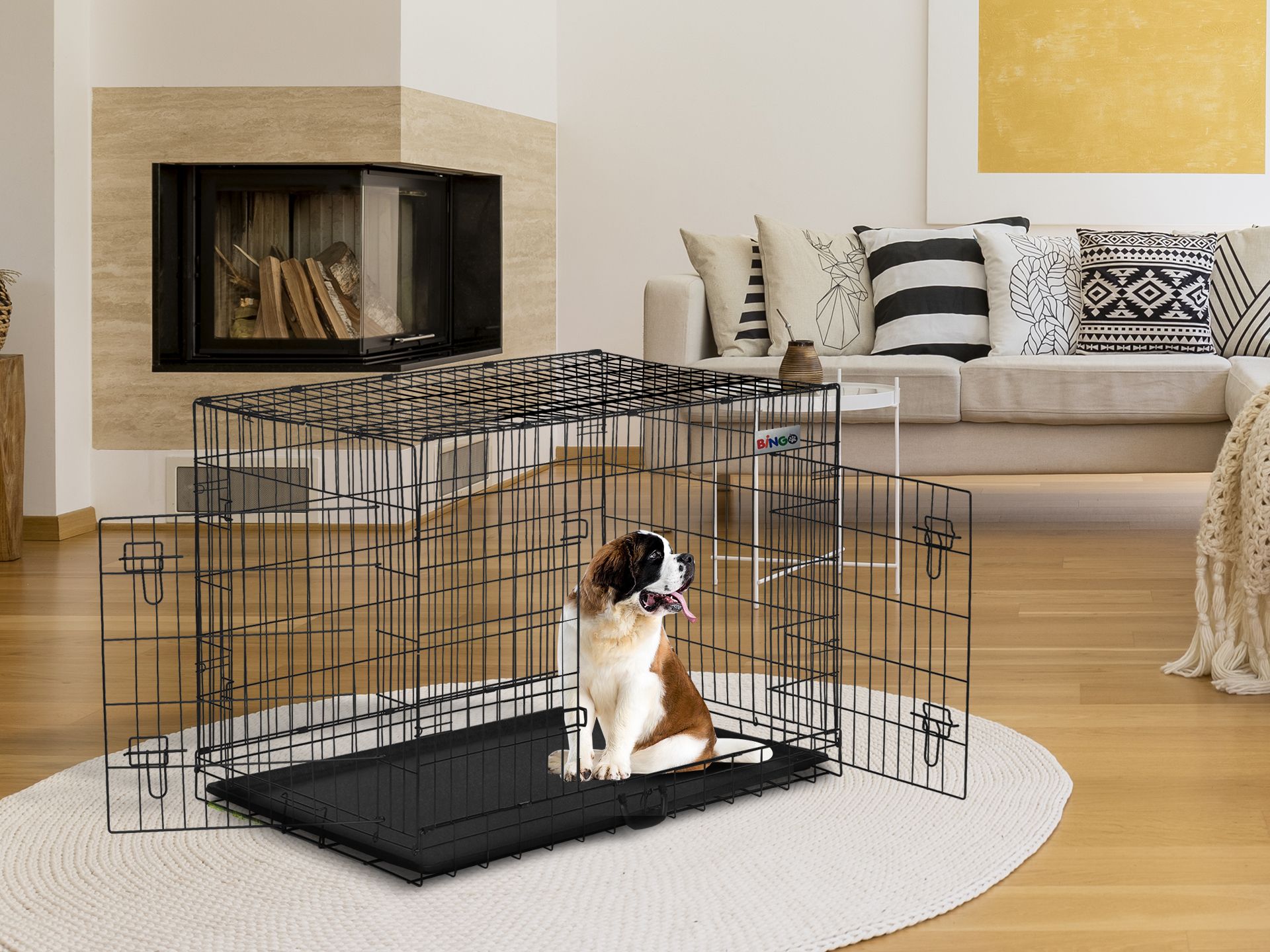 Bingo Dog Cage 42