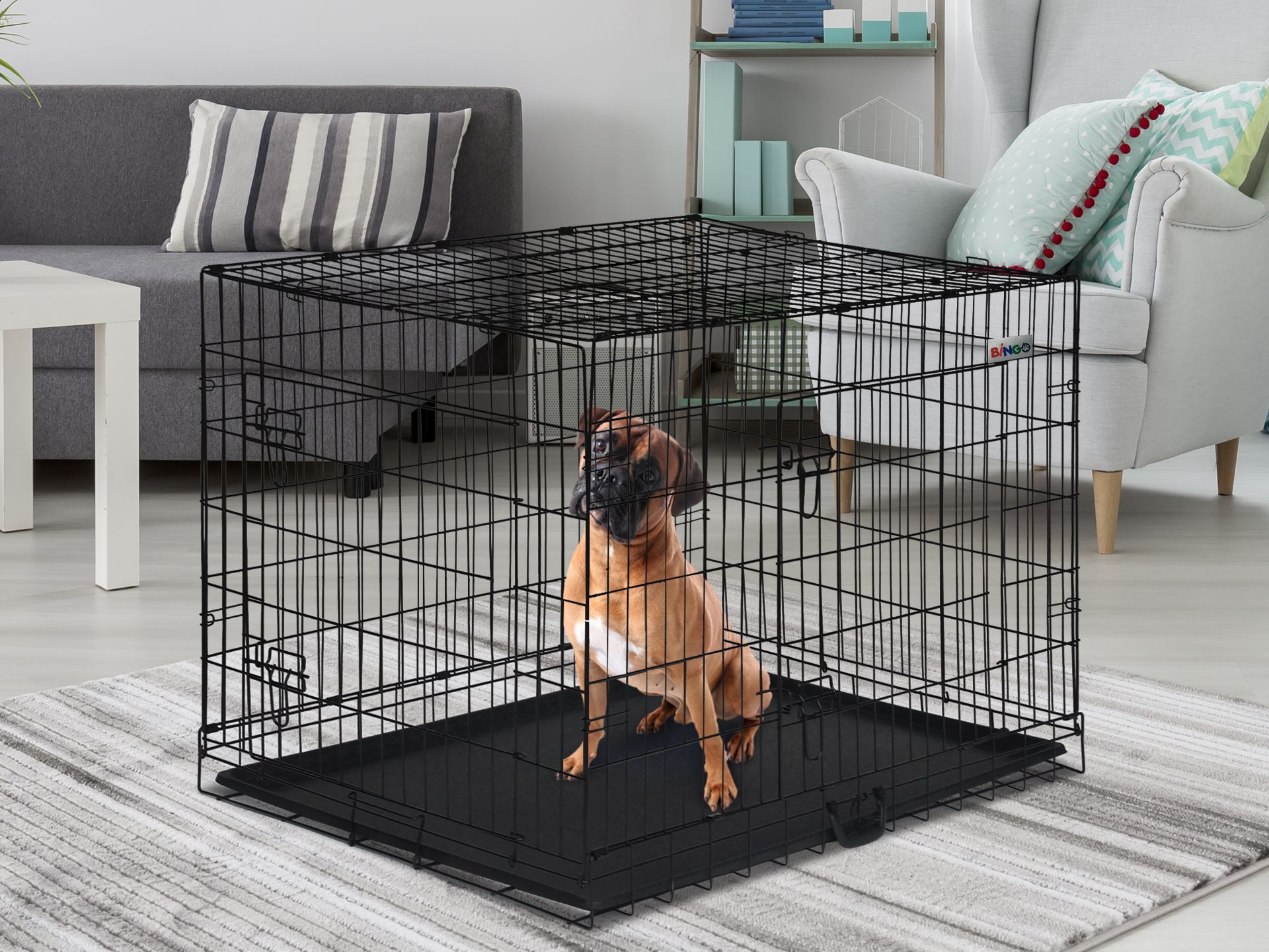 Bingo Dog Cage 48