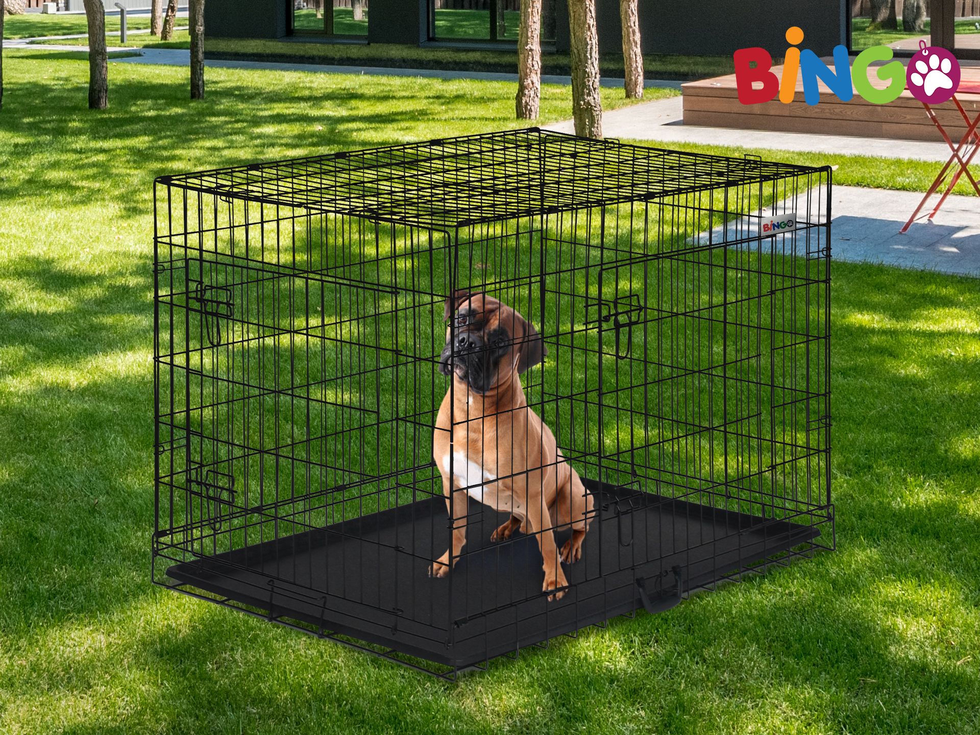 Bingo Dog Cage 48