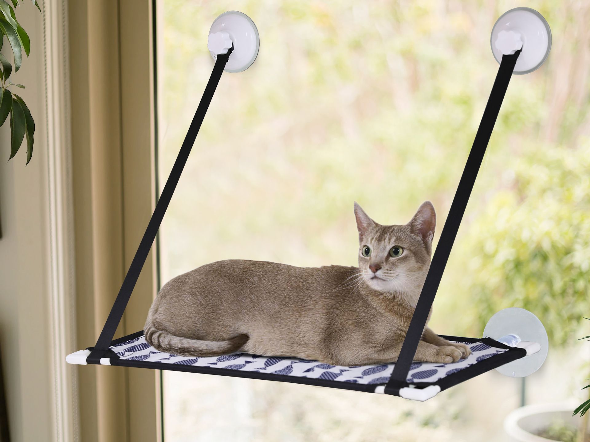 Cat window shop bed hammock