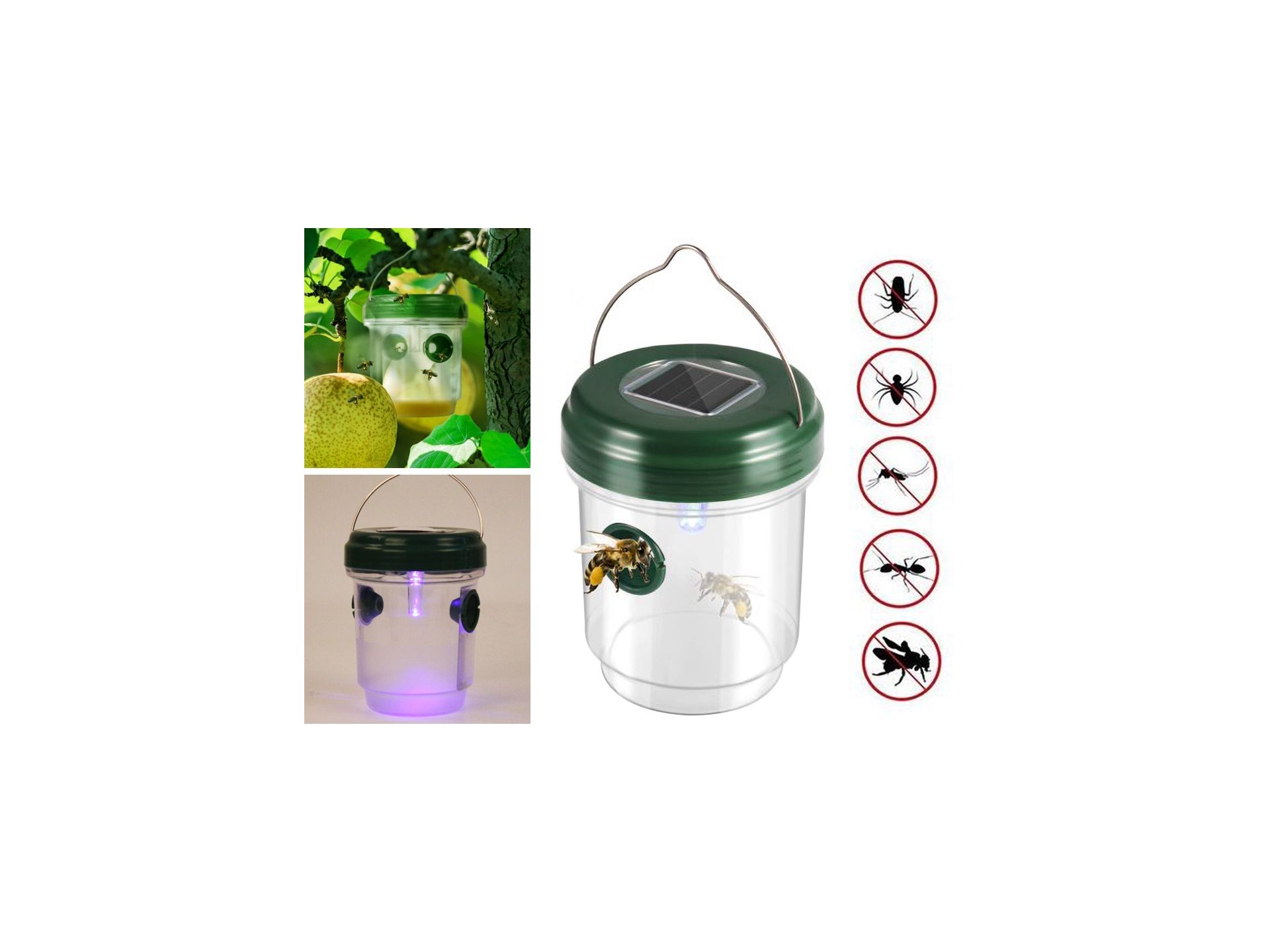 Solar Powered Outdoor Wasp Trap Catcher