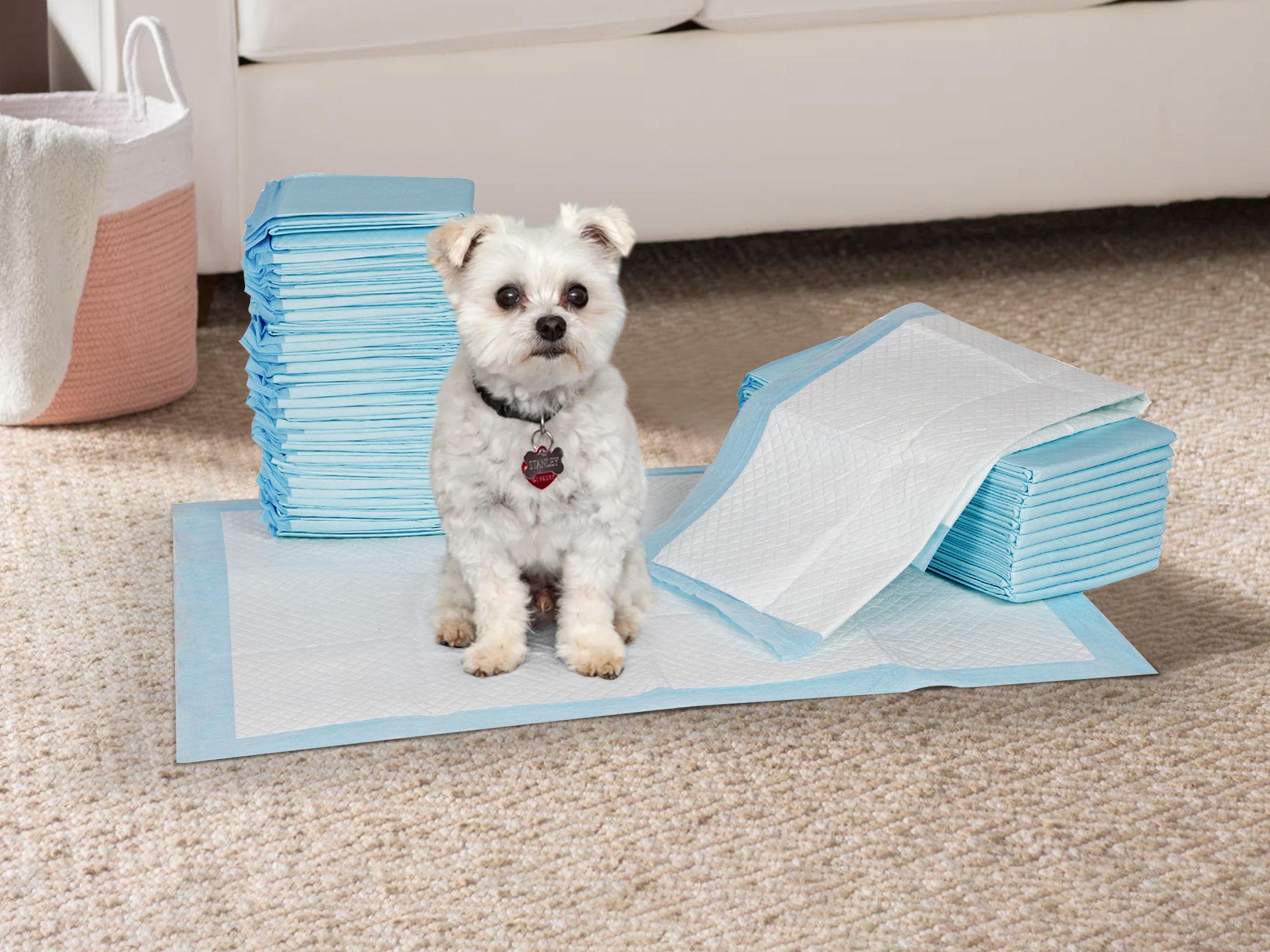 Pet Dog Puppy Training Pad 20pcs XL