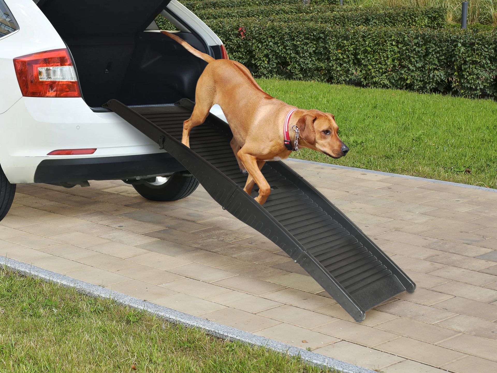 Pet step store dog ramp