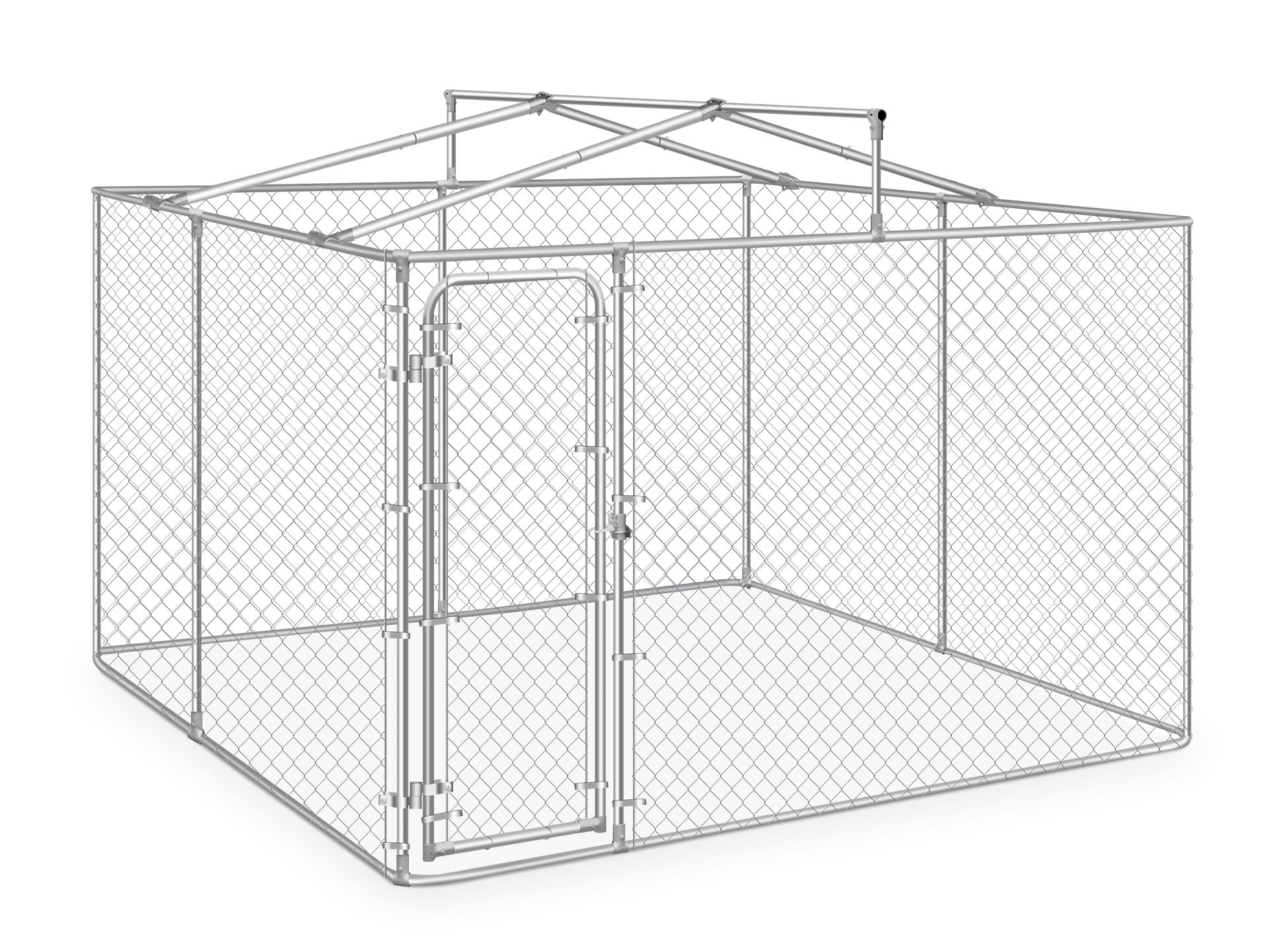 Bingo dog run sales