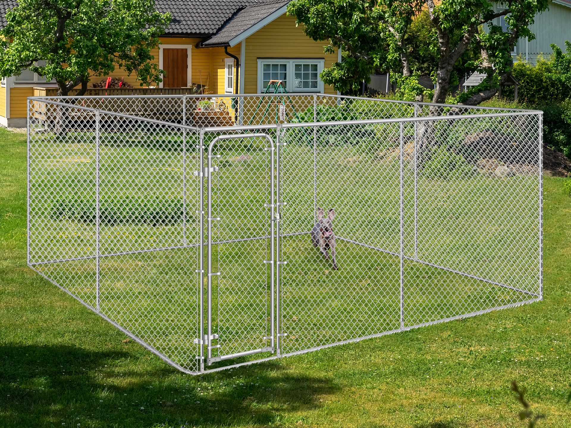 Bingo outdoor dog best sale runs