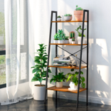 Display Shelves