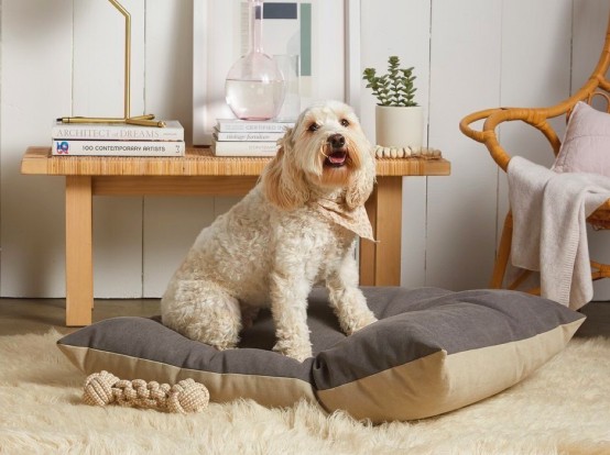 Pets Furniture