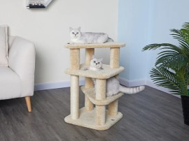 Cat Supplies