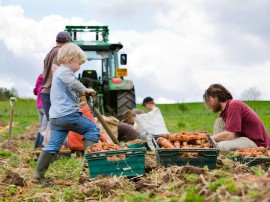 Farm Supplies